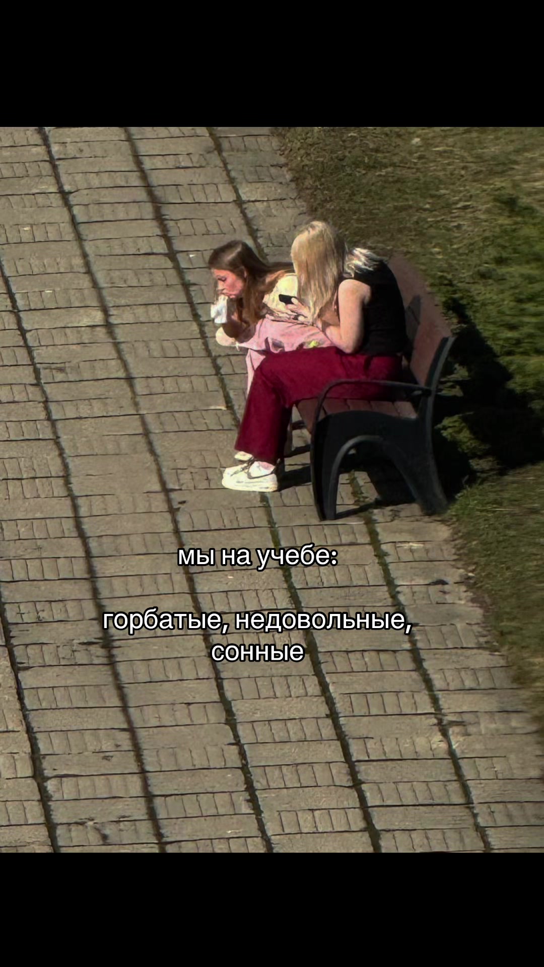 @$ашуля
