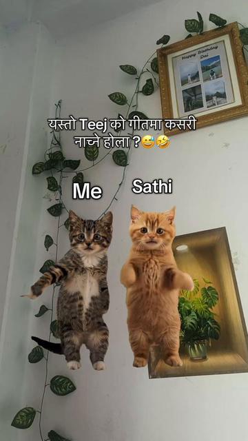 @Roshan stha