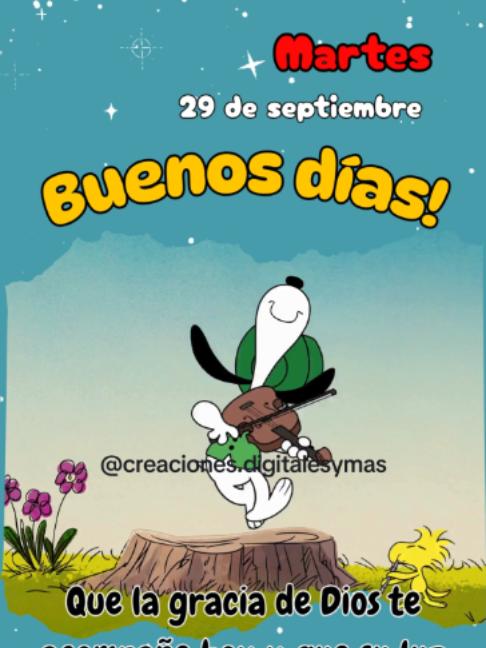 @adachajon.gt