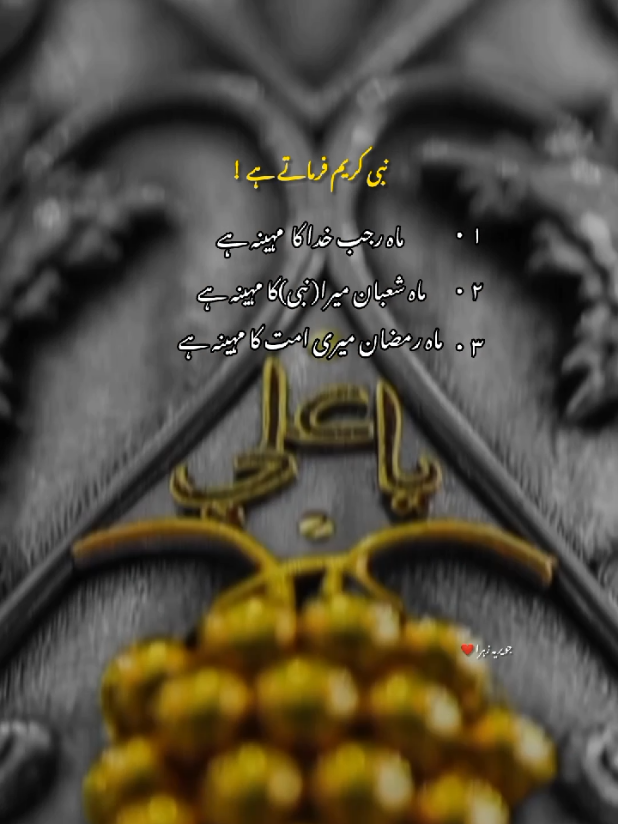 @hussaini vibe