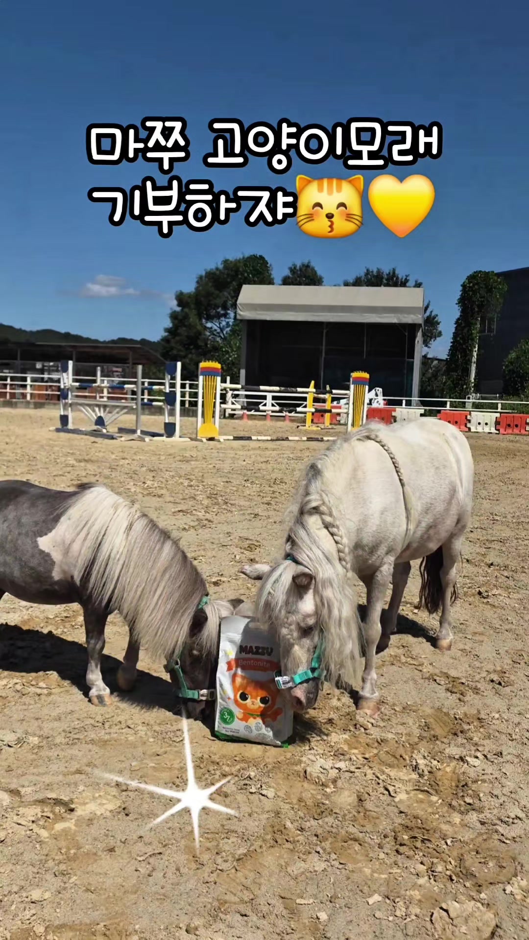 @작은말월리 | 월리플랍🦄