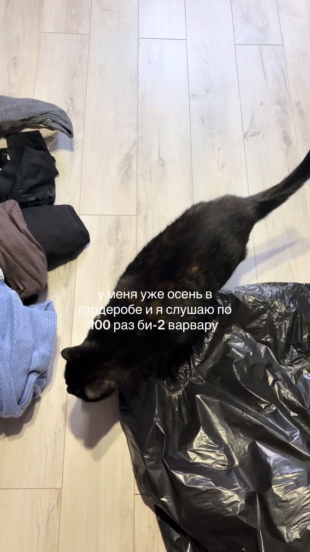 @слёзкина ариша