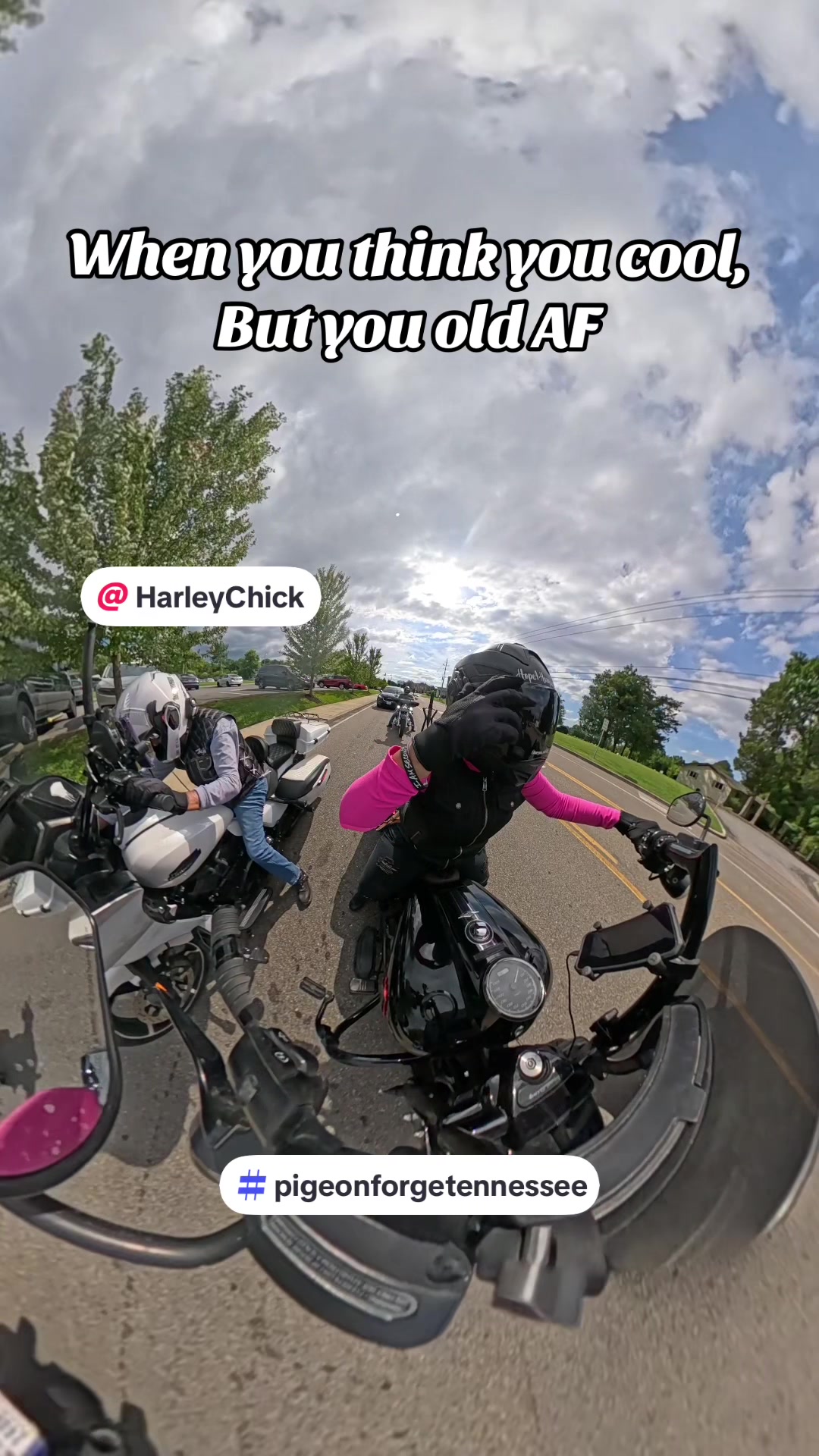 @Ponytails