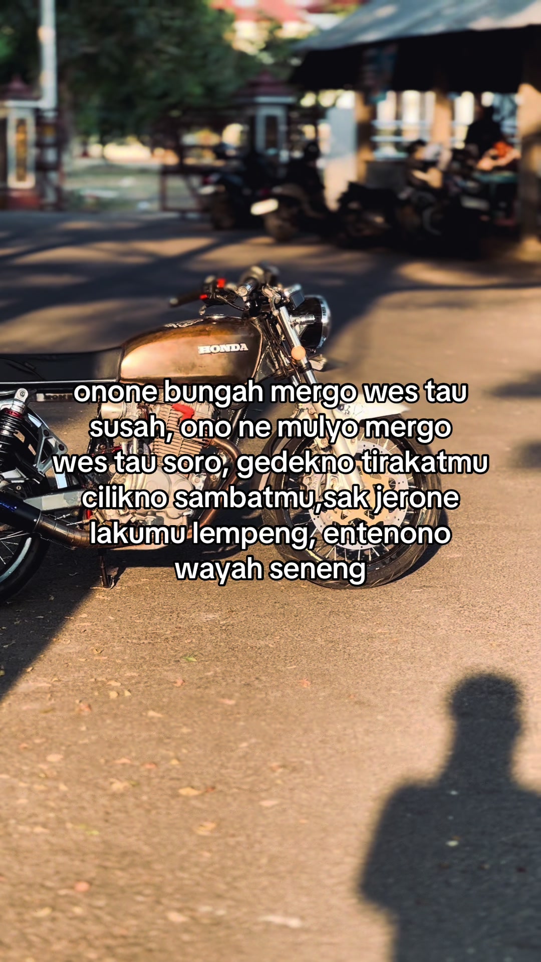 @Dewo