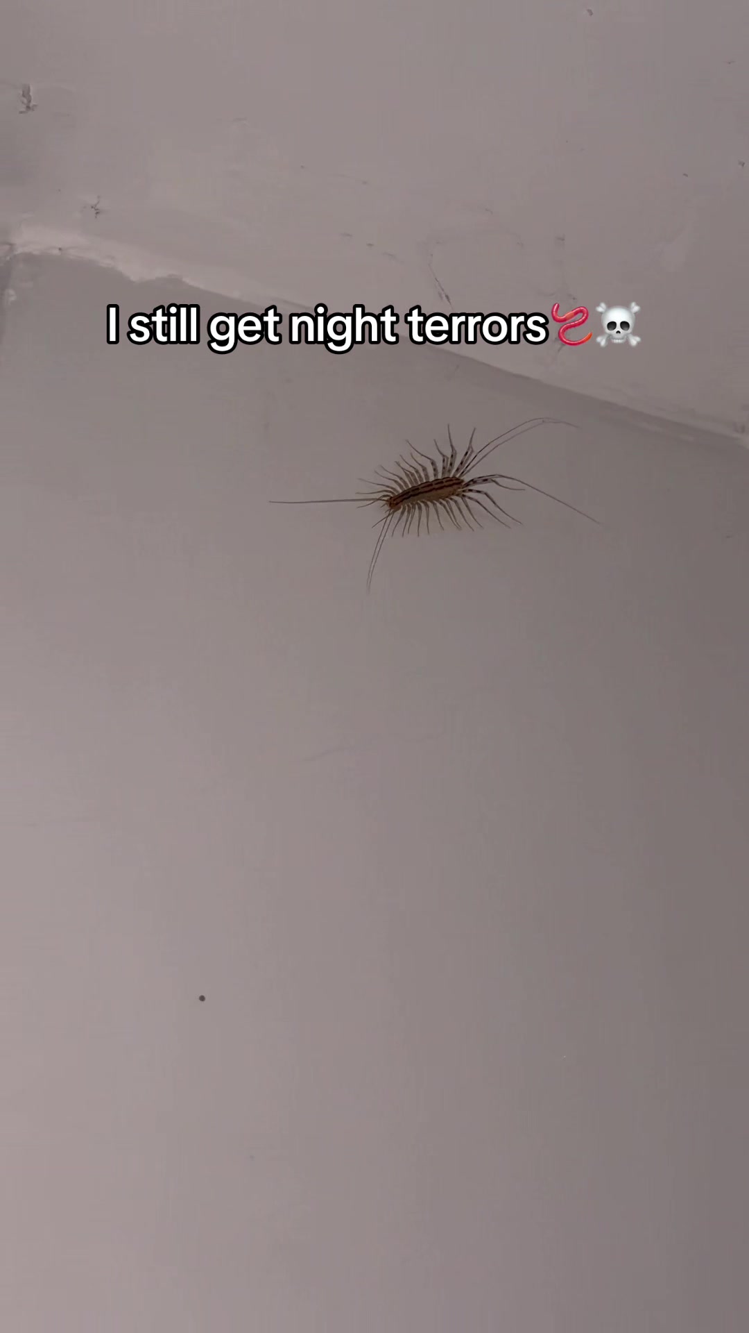 @lilredboytv