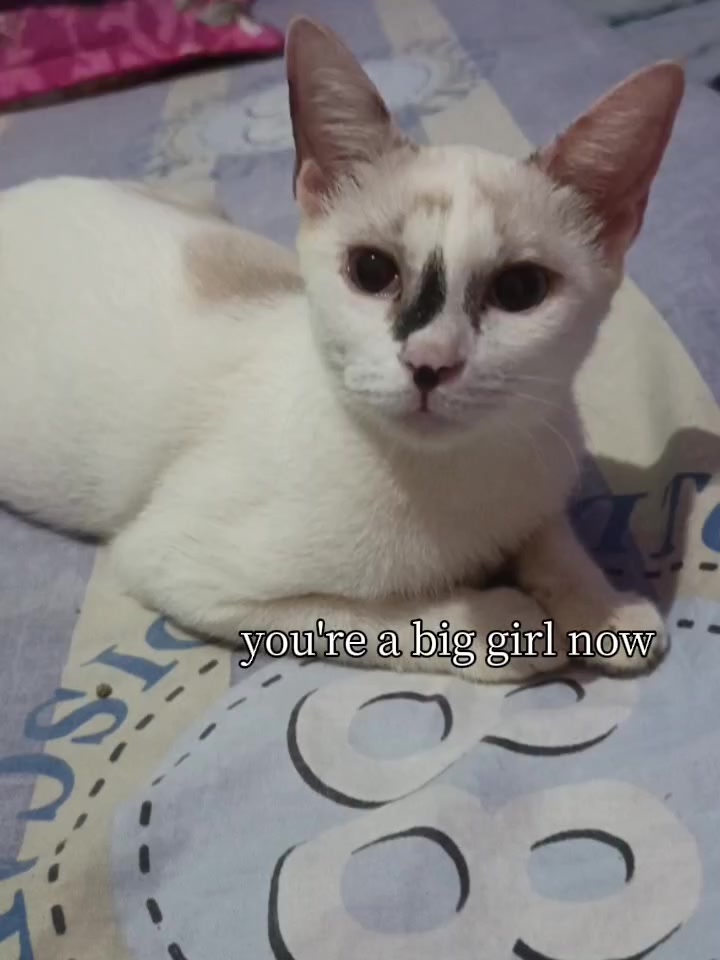 @indaayyyy