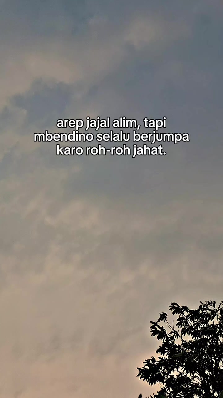 @V@nDY J3