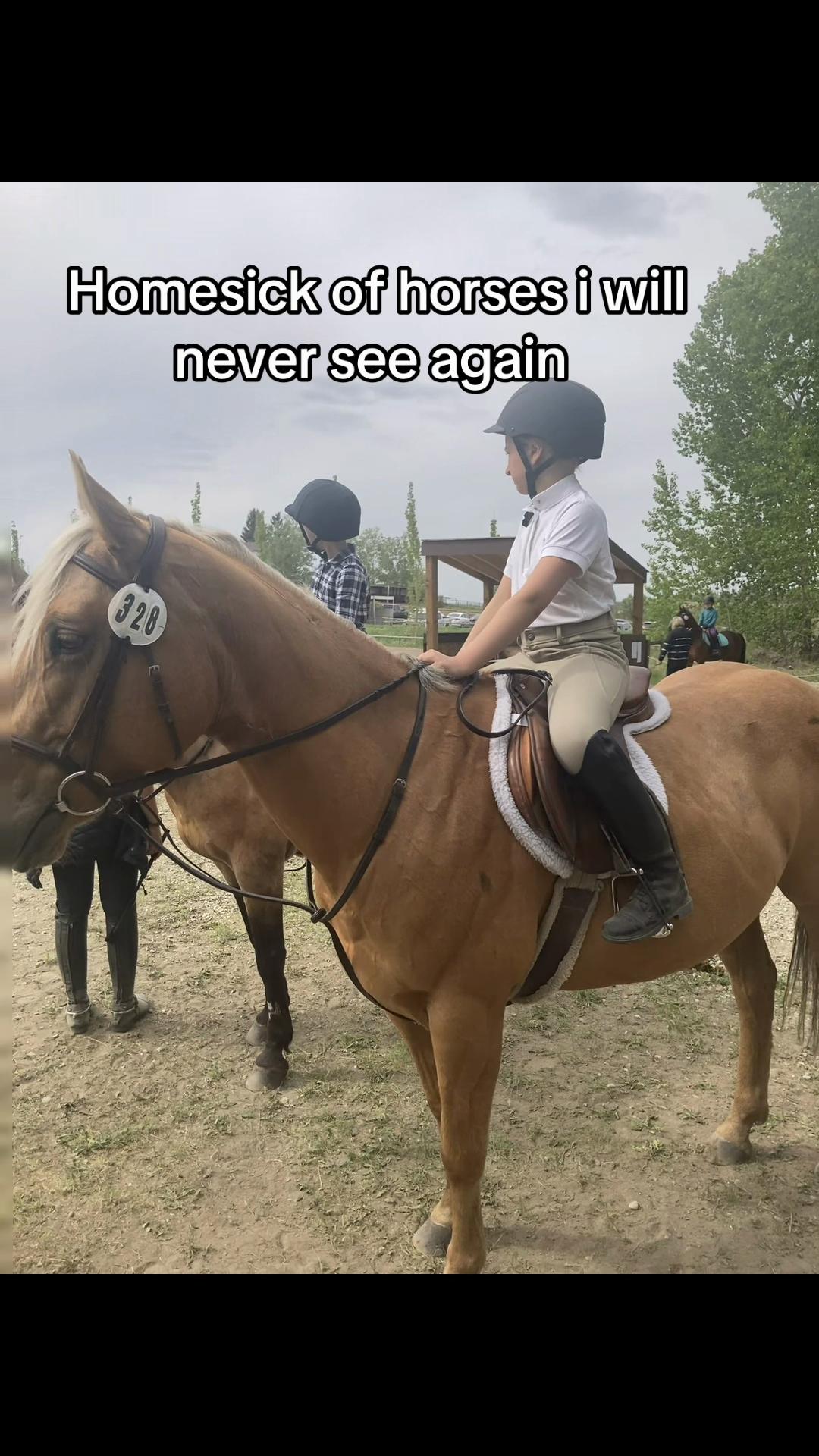@Kaya_Equine _Molly