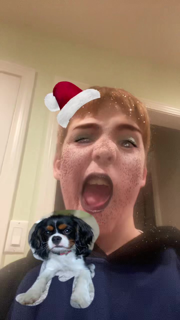 @Gingersnapdragon