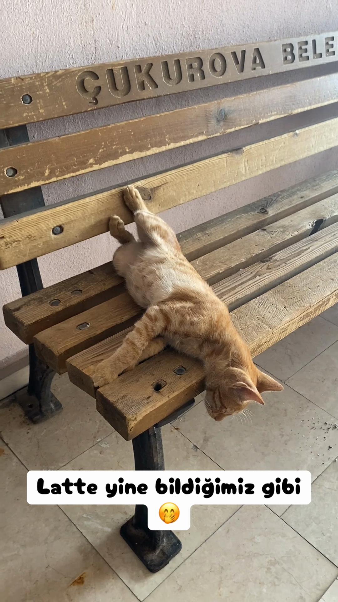 @Şapkalı Kadın