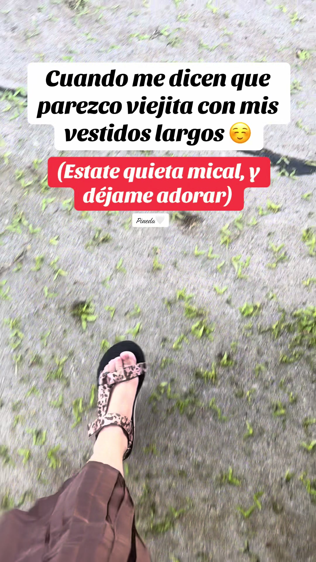 @Ana Pineda1443