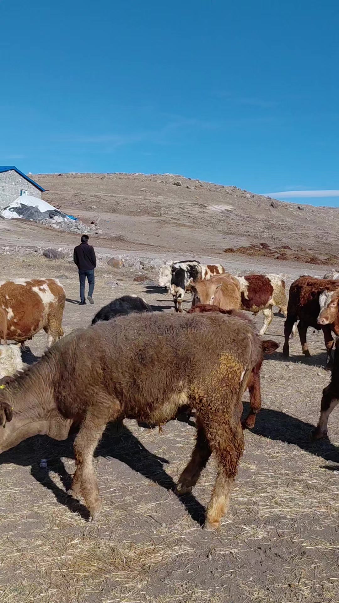 @Gökhan Çoban