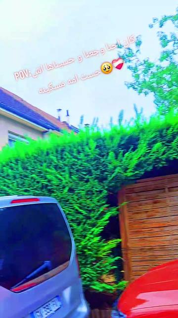 @๐ฅ๐ซ๐ทุงูุฌุฑุฌุณูุฉ๐น๐ณ๐