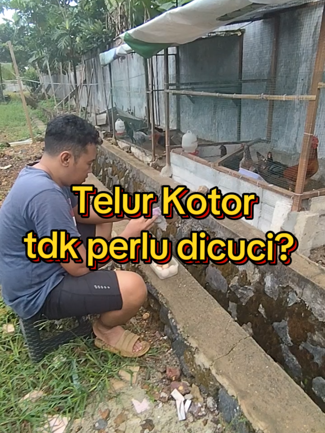 @Prasetya