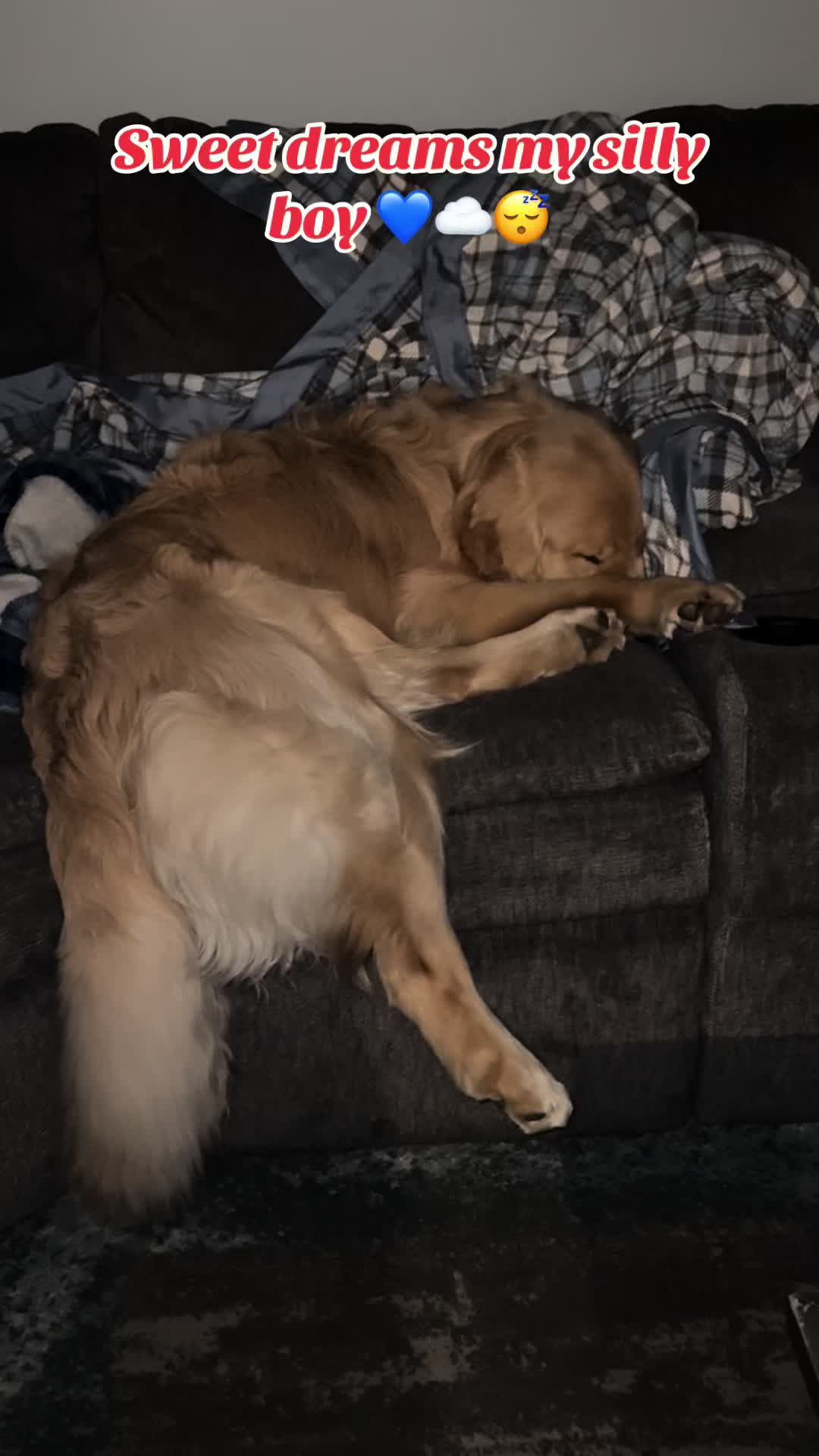 @Tucker_tha_Golden