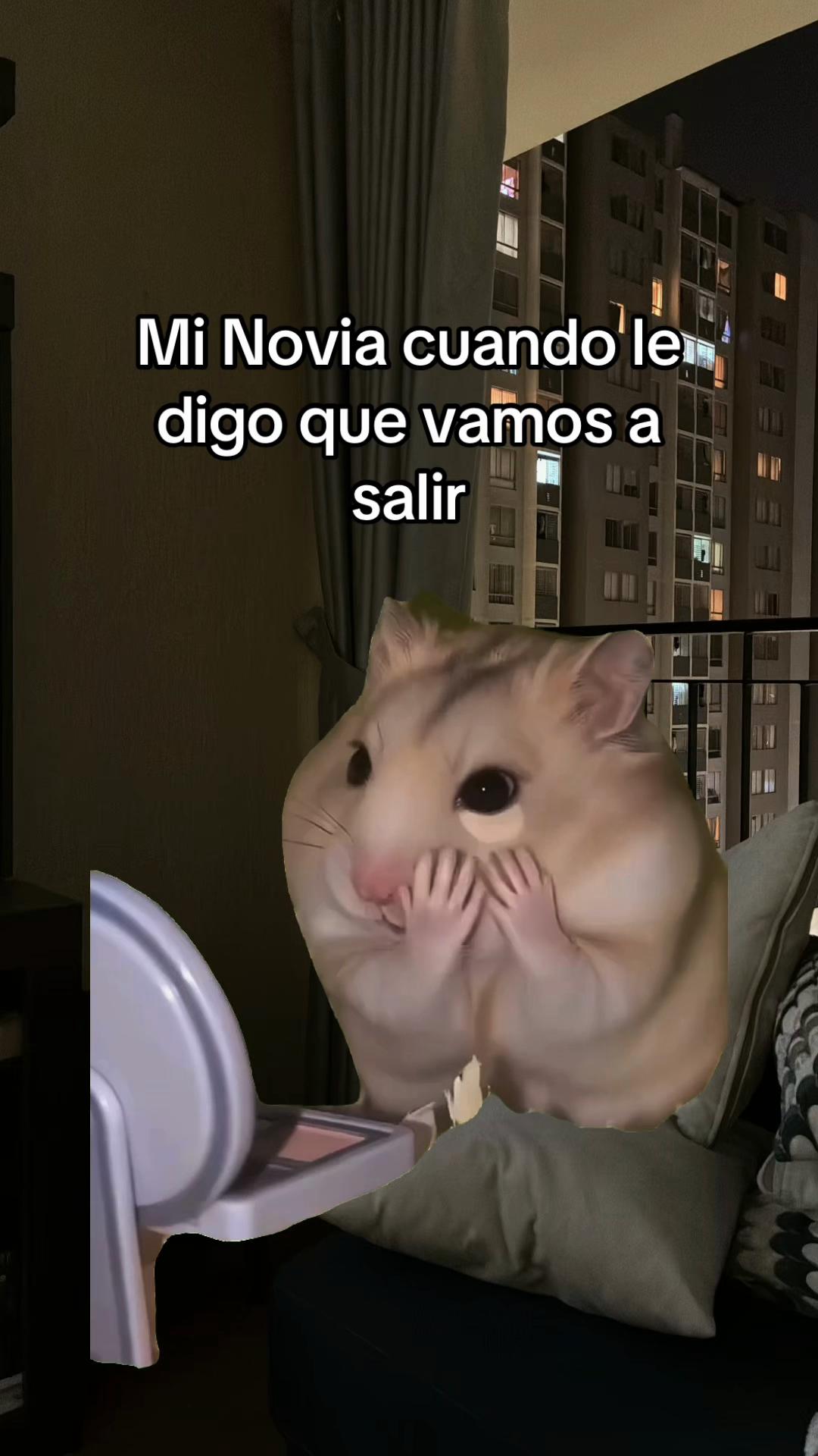 @jansonmania