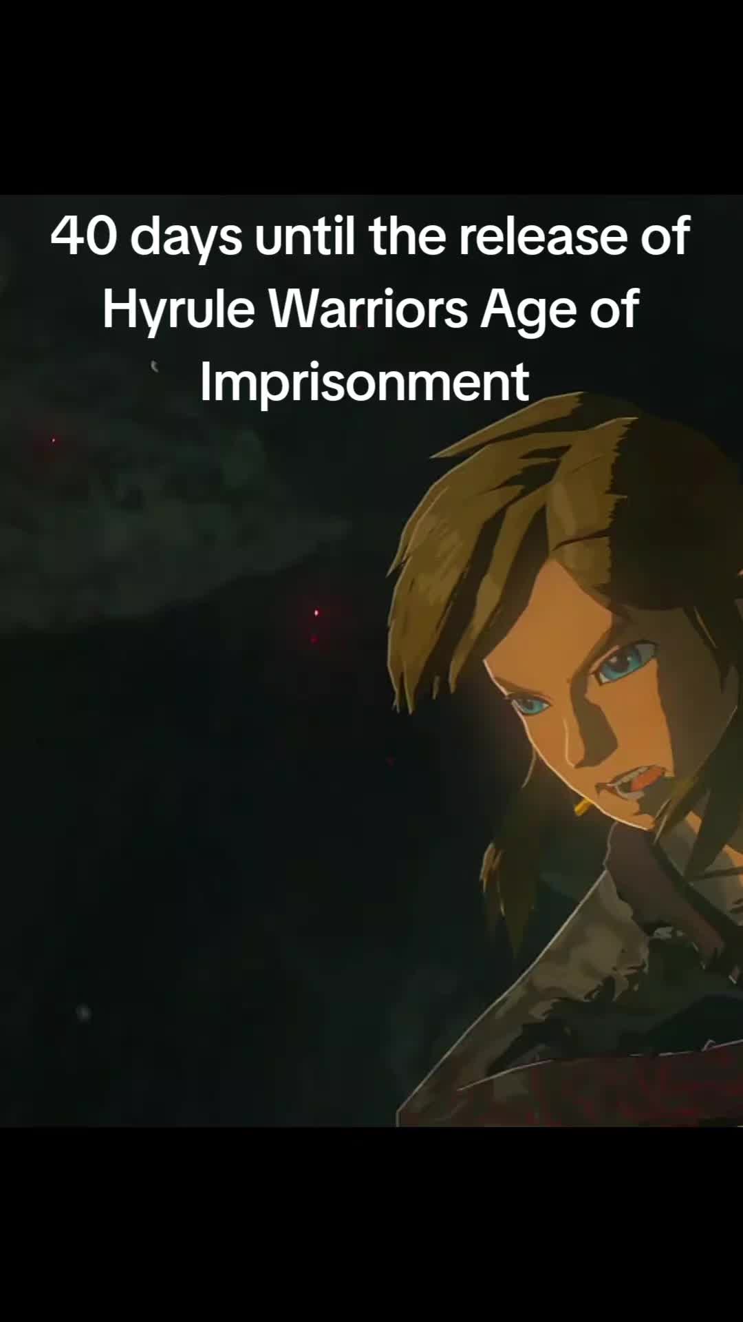 @Link of Hyrule
