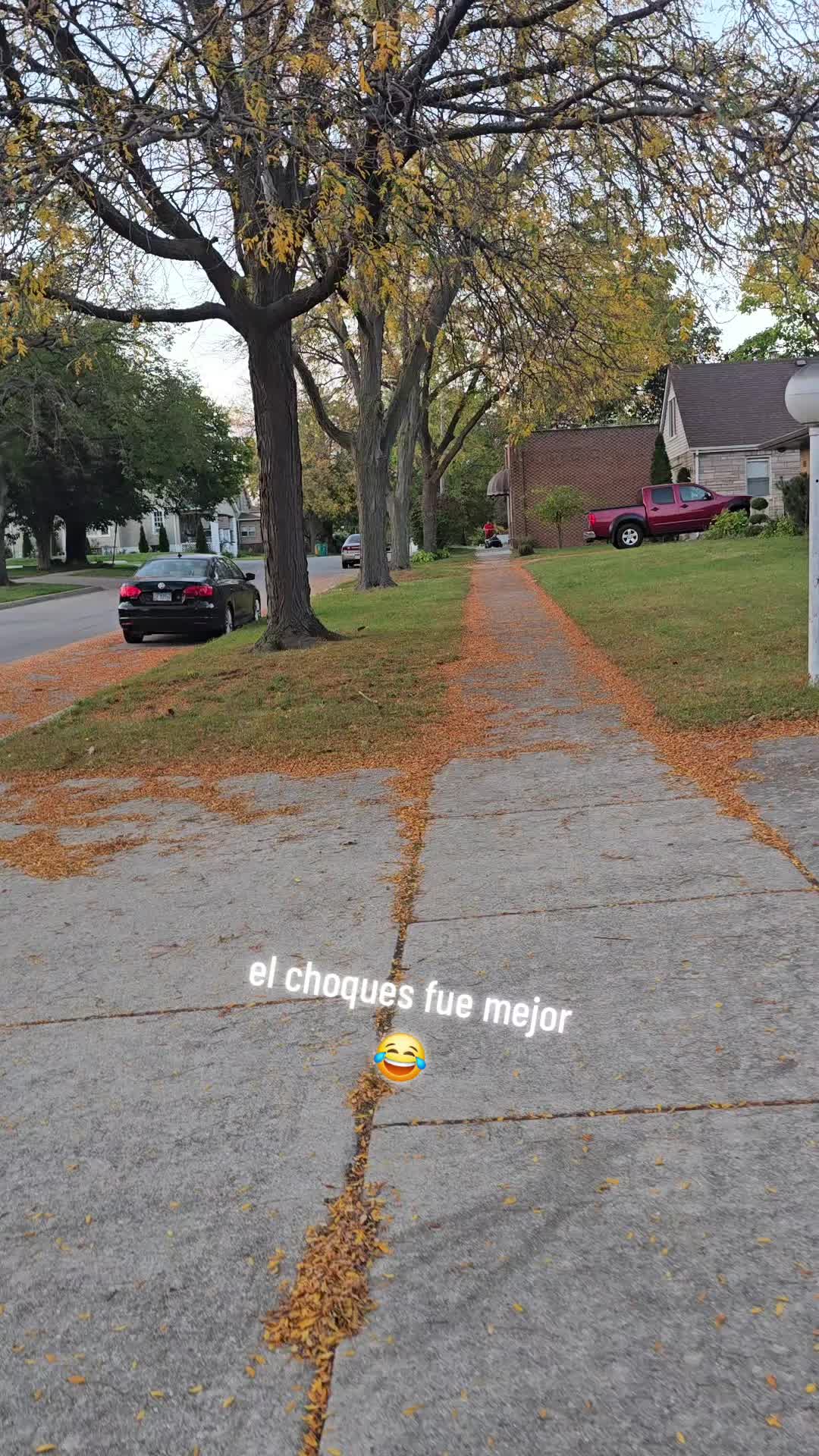 @wilerijose