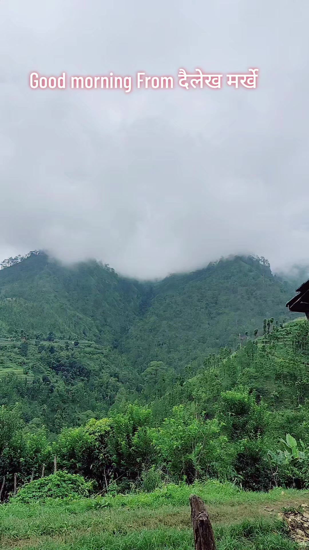 @Keshar Budha chhetri