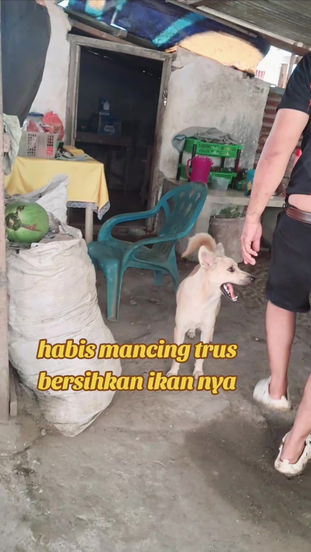@POBSI DELISERDANG