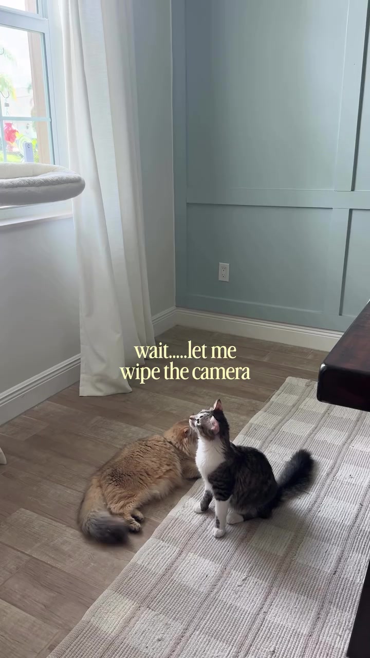 @KBSPETS