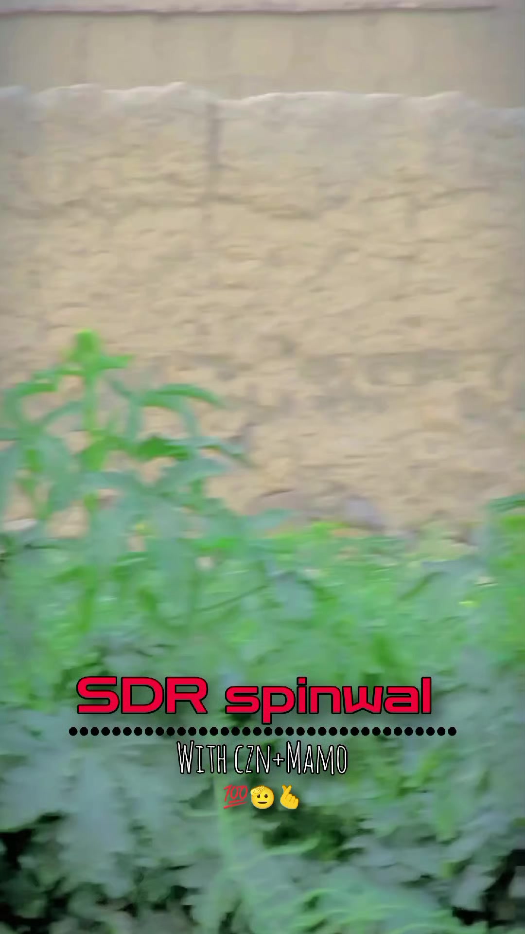 @༼ ❌↗ 𝙎𝘿𝙍.spinwal ↖ ༽❌