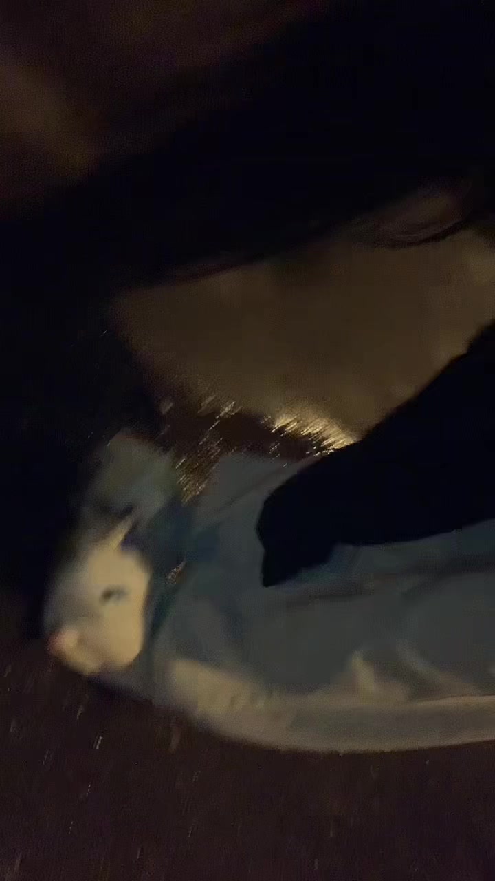 @Lizulyalinxx