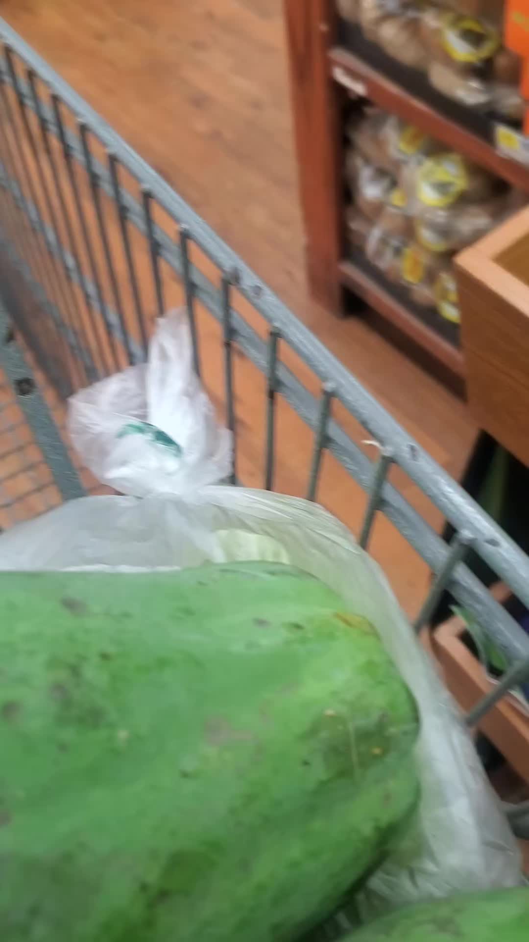 @NANA PLANT🏝️