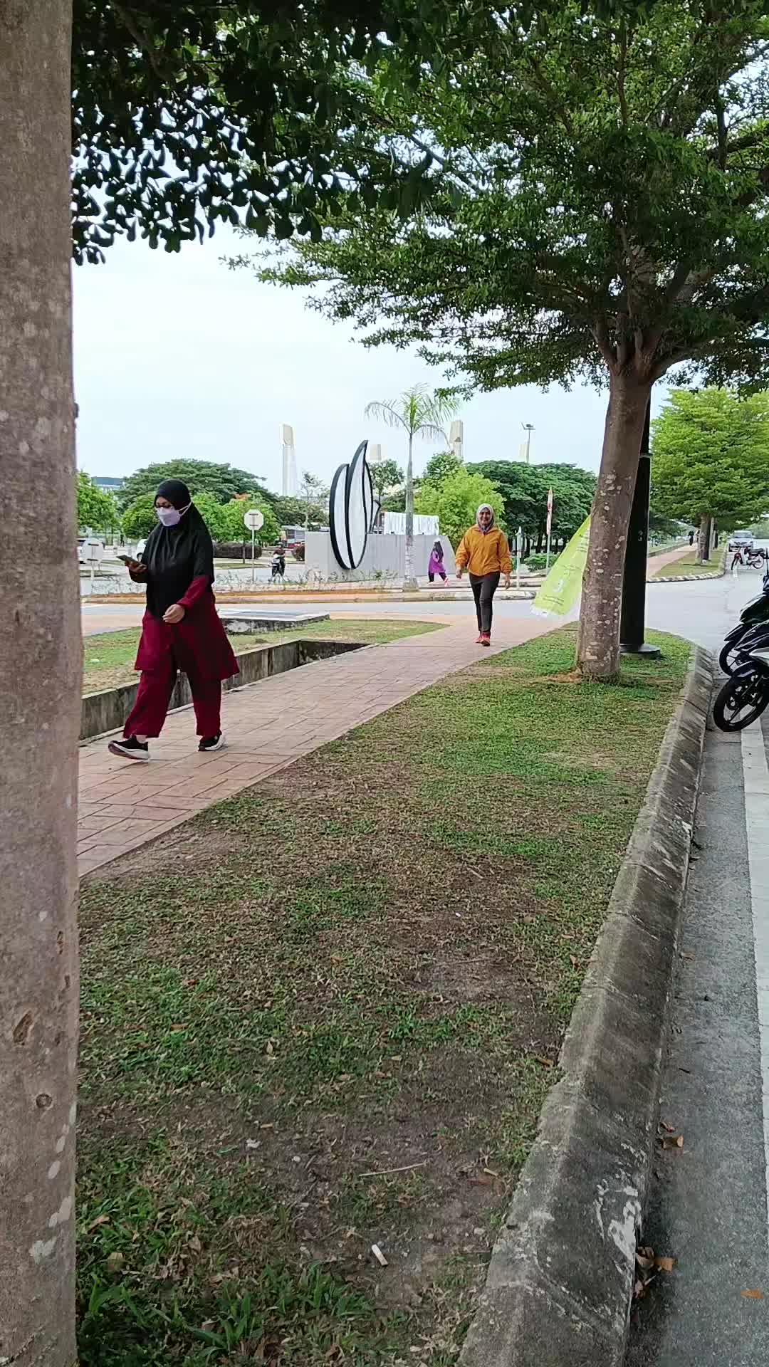 @hanihashim