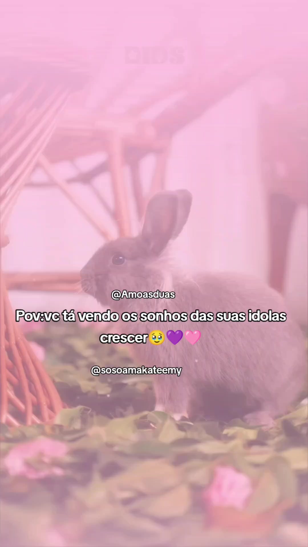 @—๐oh ๐dits ๐ป๐
