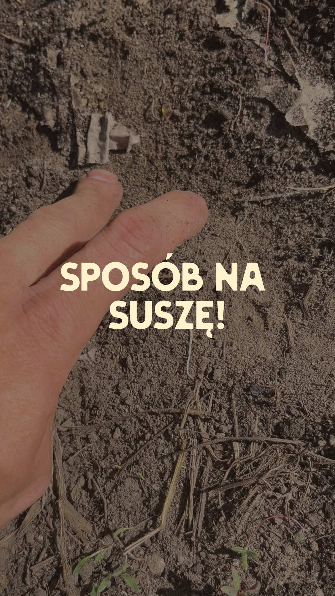 @Ogrodnik Doskonały