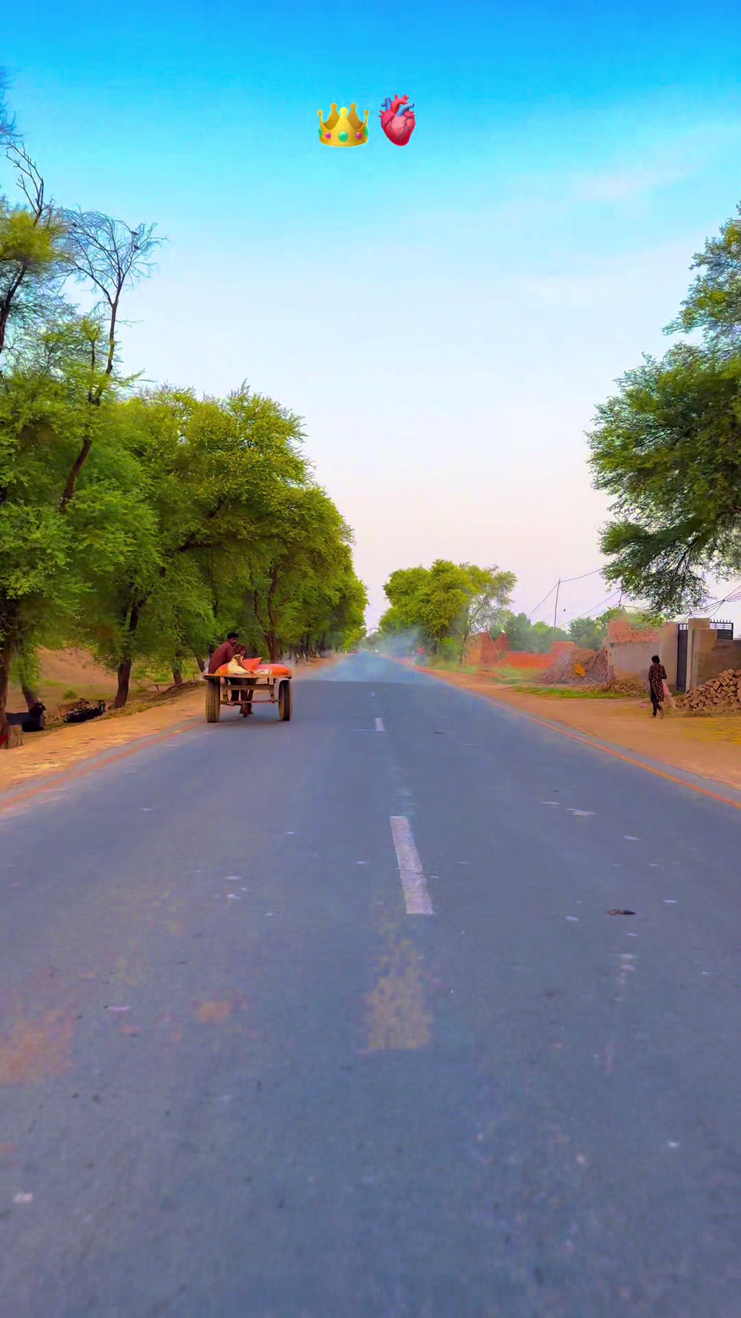 @پنجابی کلچر 🌾🍂