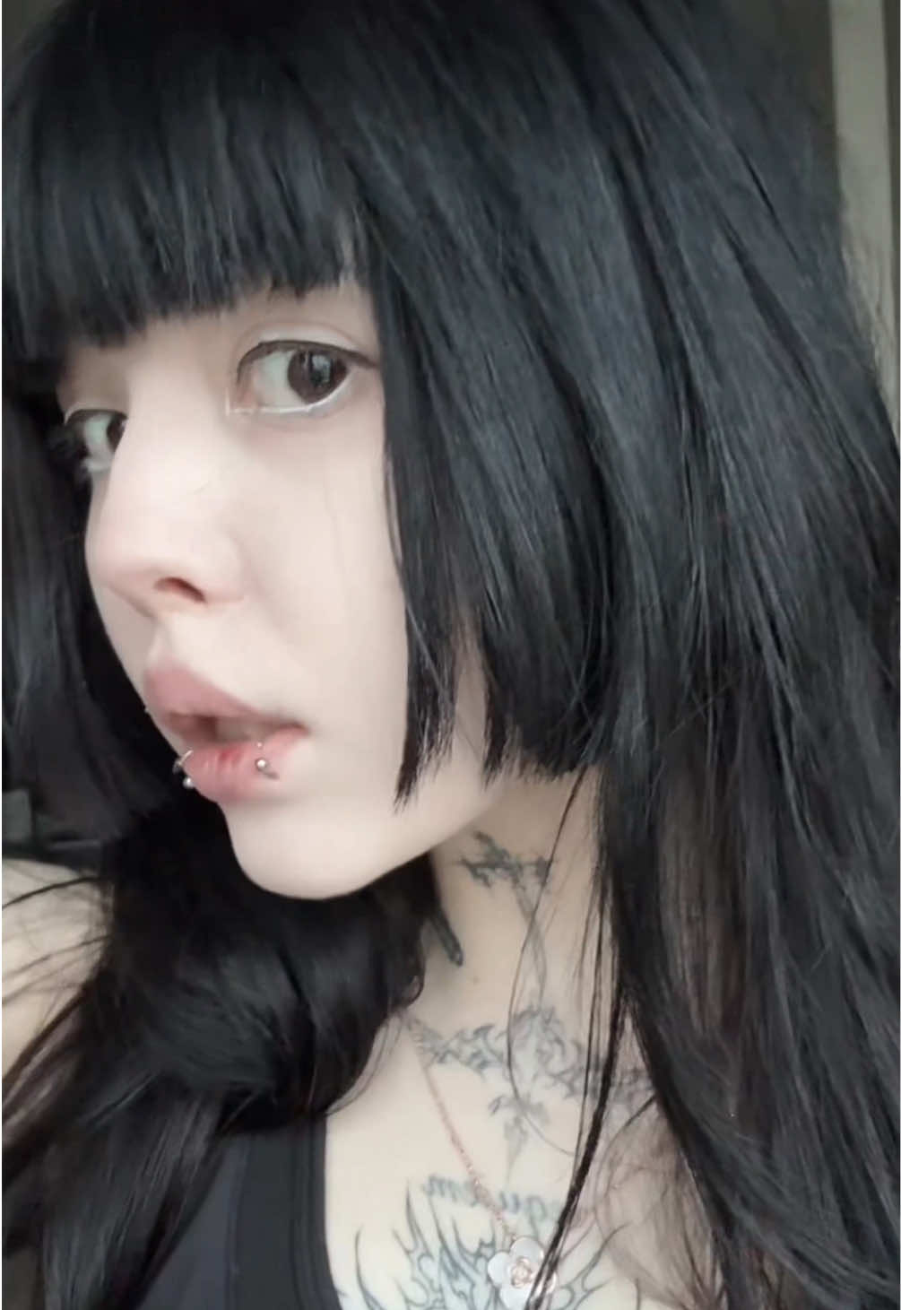 @hakiruku