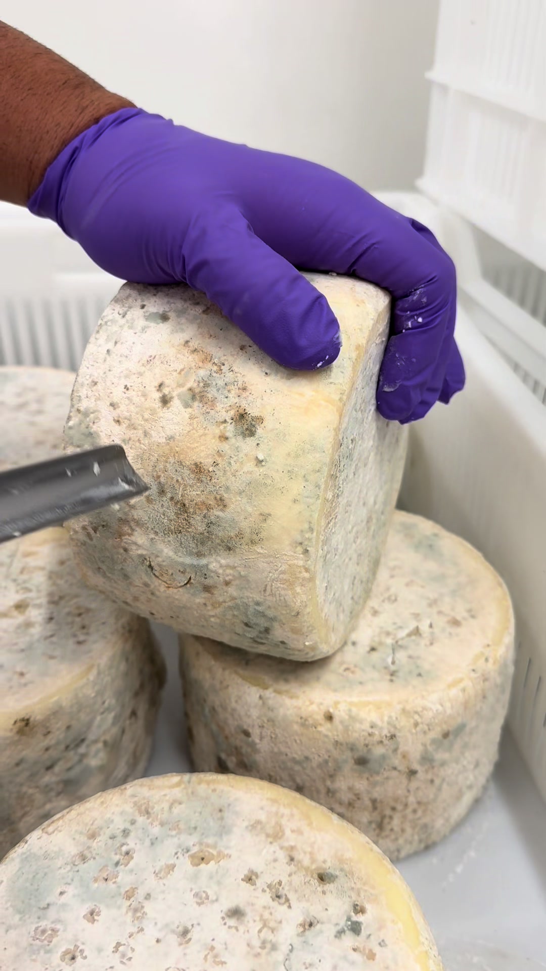 @Yorkshire pecorino