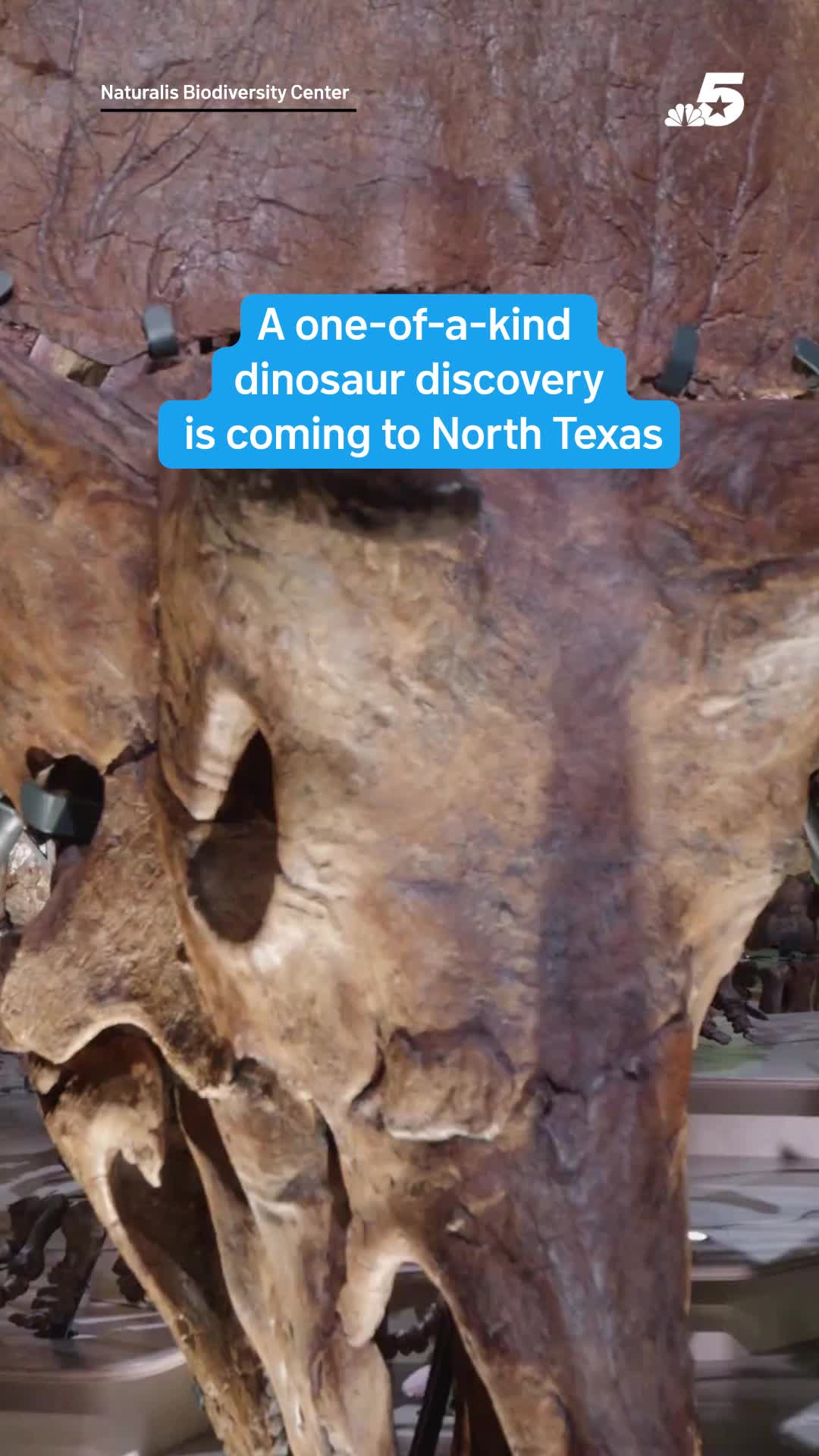 @NBCDFW