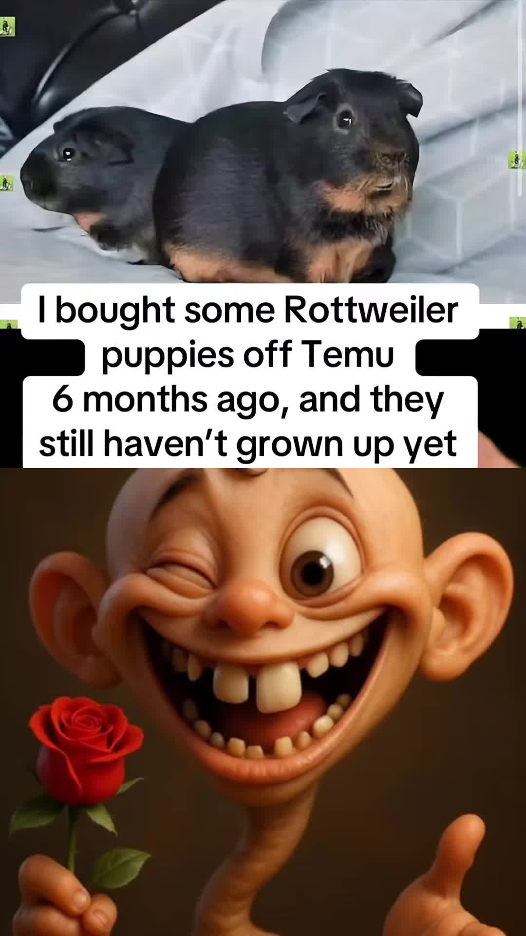 @DAFISHINGCRIPPLE