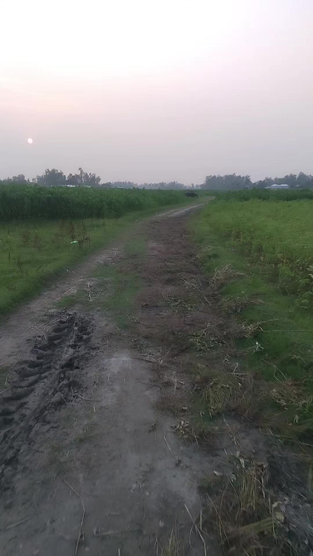 @শুধু তোমার জন্য পাগল