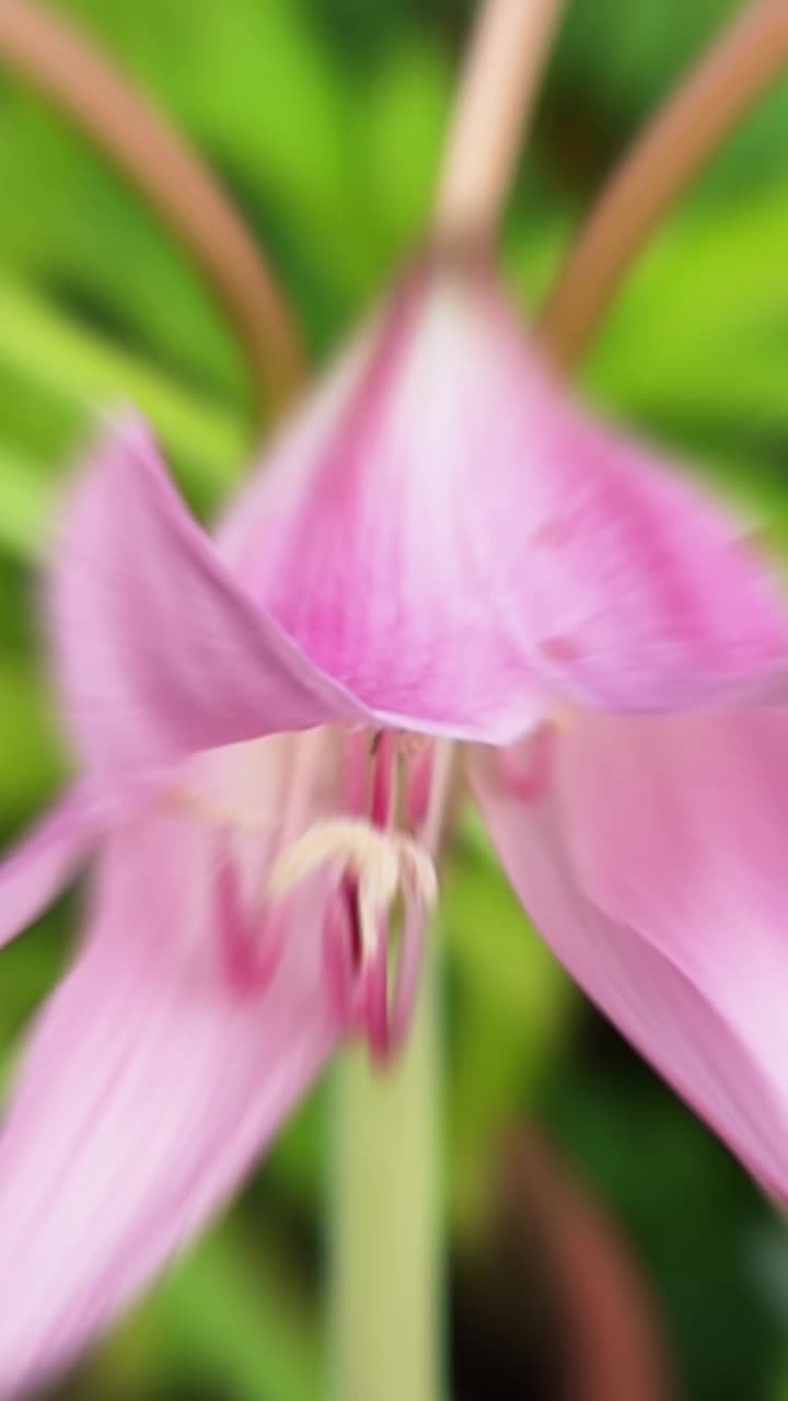 @Natur und Garten