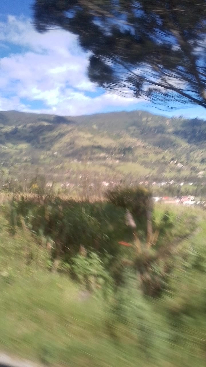 @victor manuel gonzalez