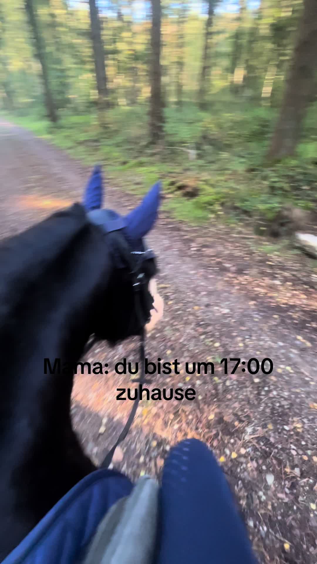 @herzenspferd_lucie❤️🥹