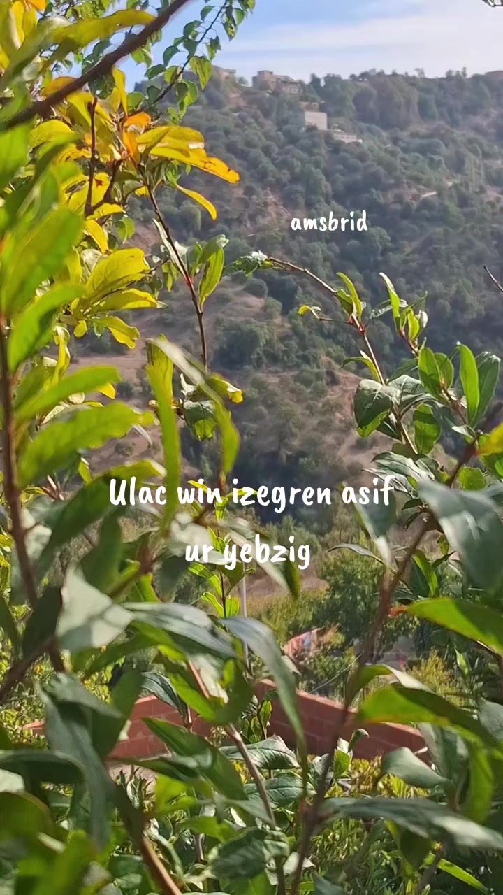 @amsbrid ⴰⵏⴻⵀⵀⴰⵕ