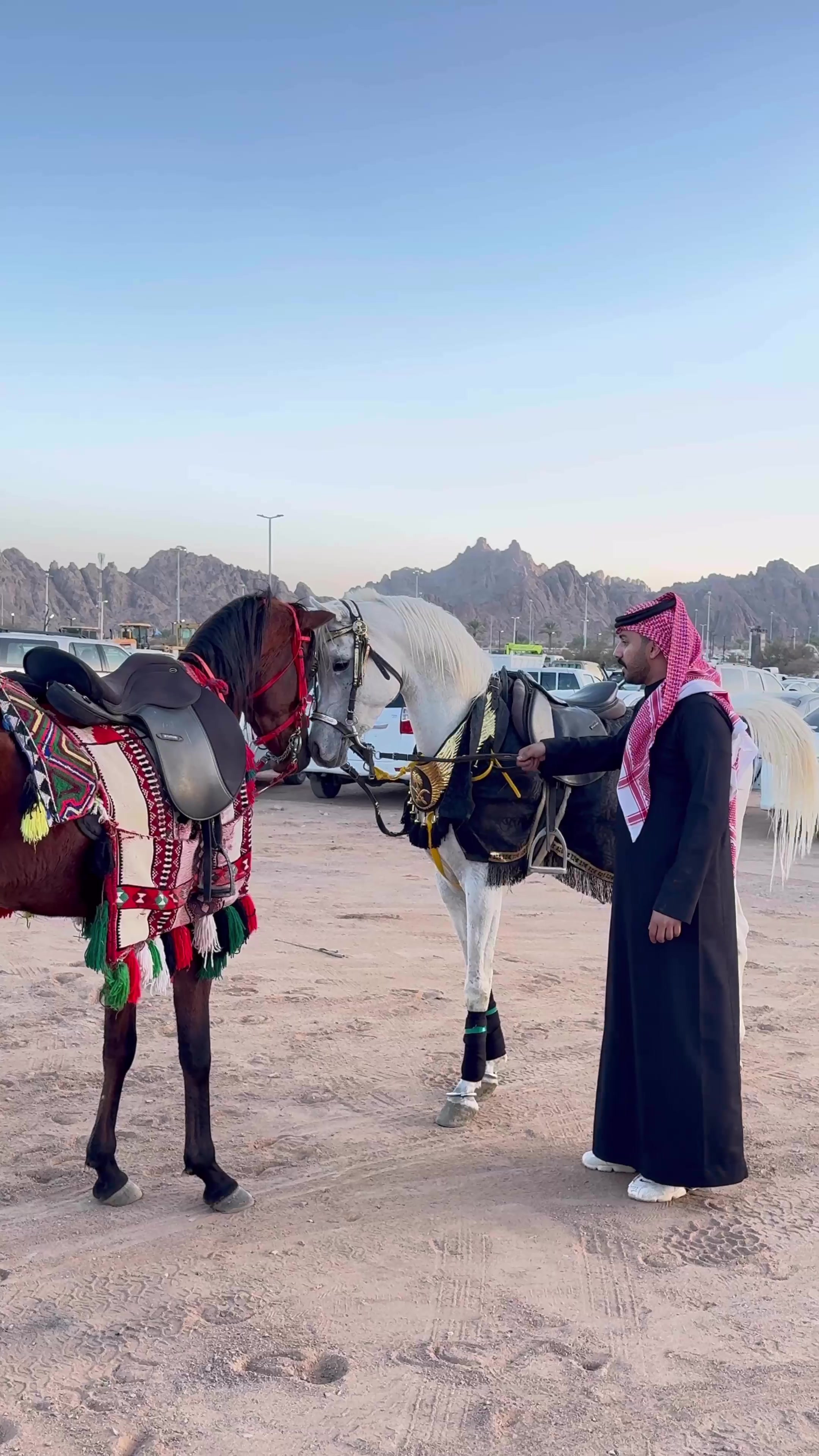 @سلطان الشمري