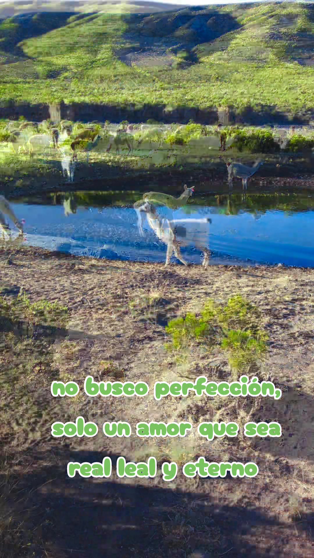 @Aby Corazón 😘❤️
