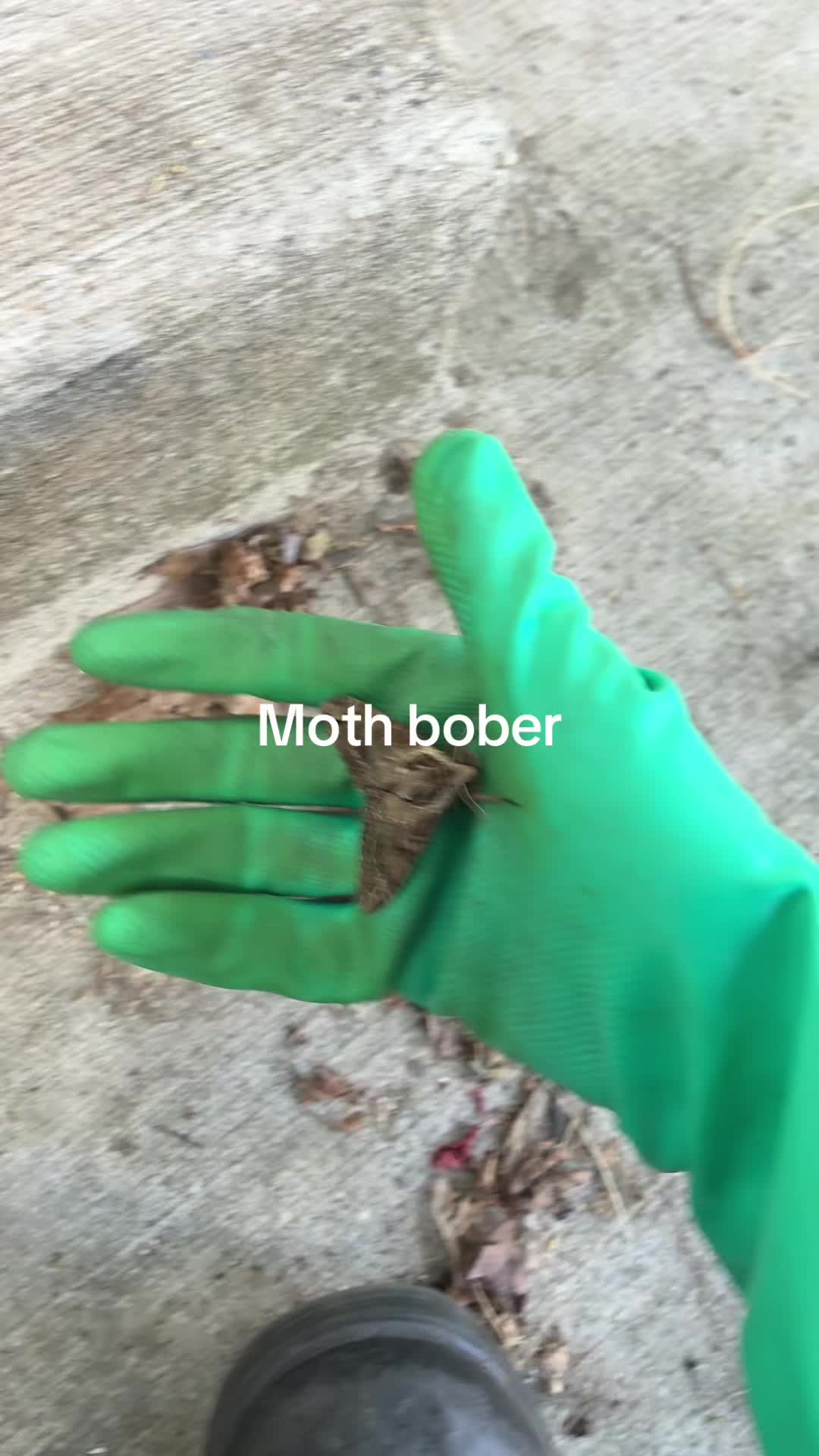 @Ryanzba