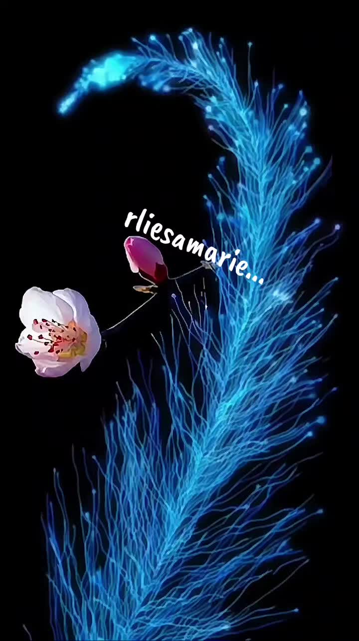 @rliesamarie...rlm