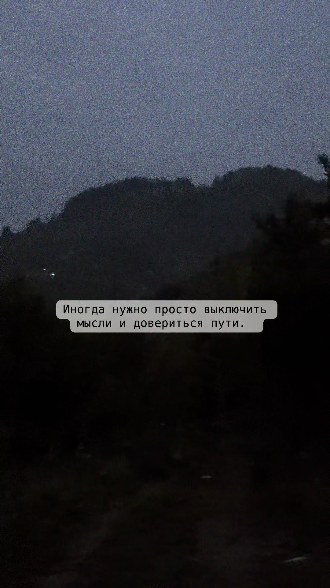 @Алиса