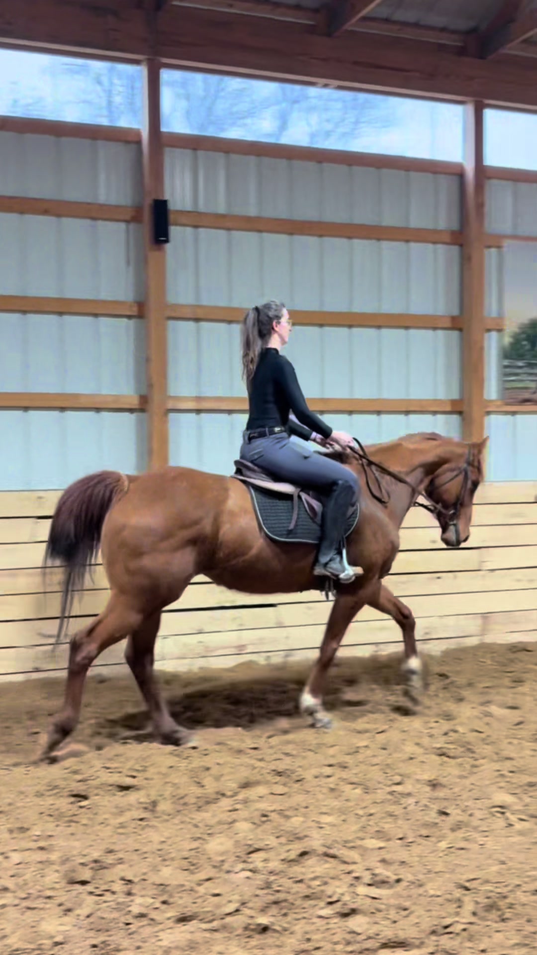 @Aubray | Equine Photographer