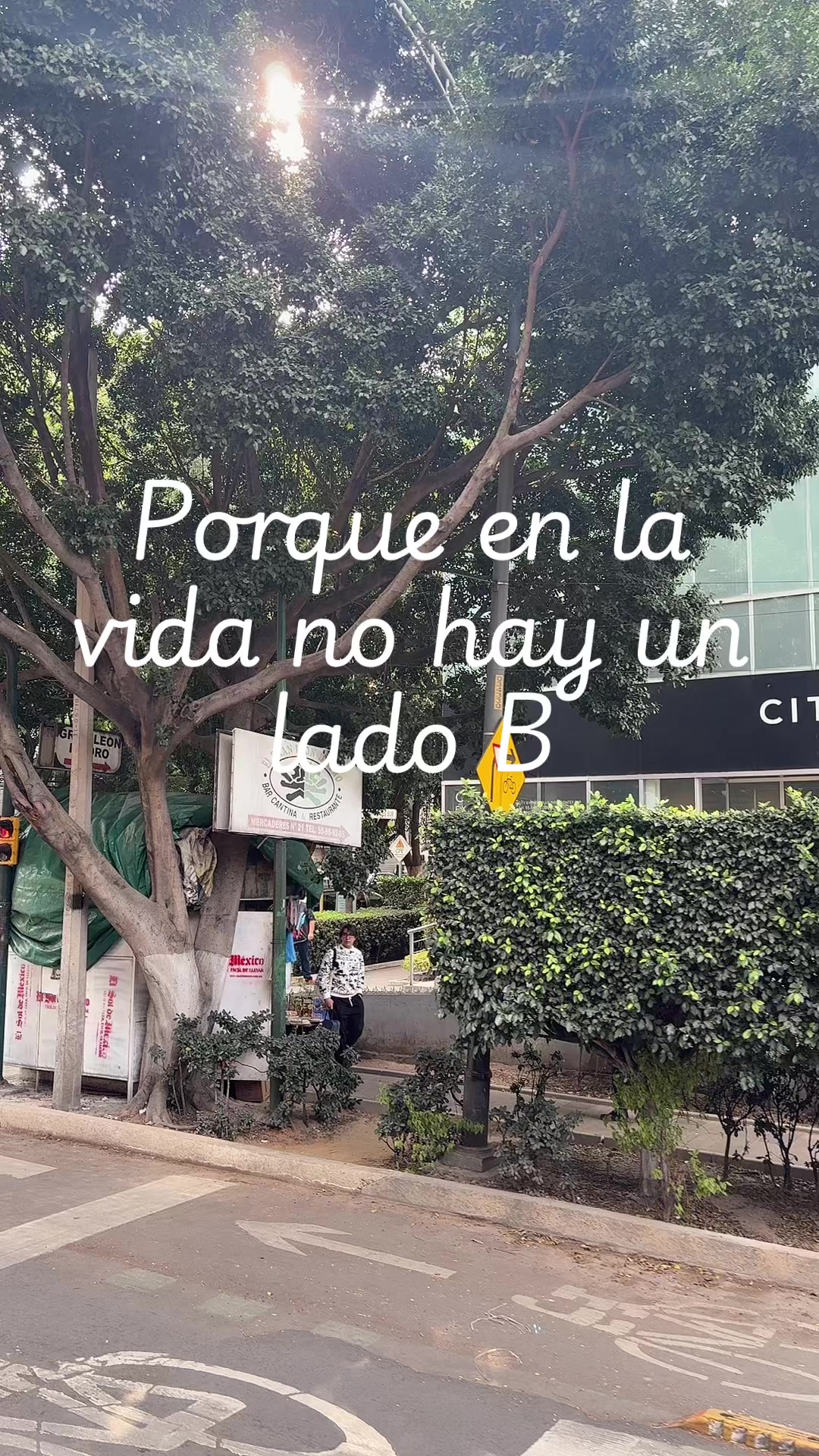 @Jan Valadez