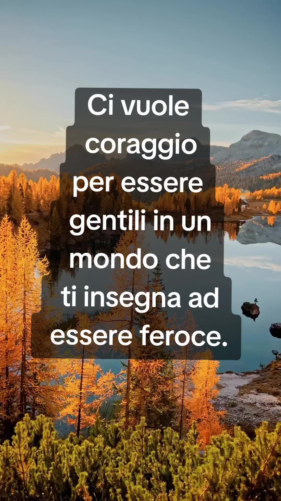 @💫FRASI&CITAZIONI💫