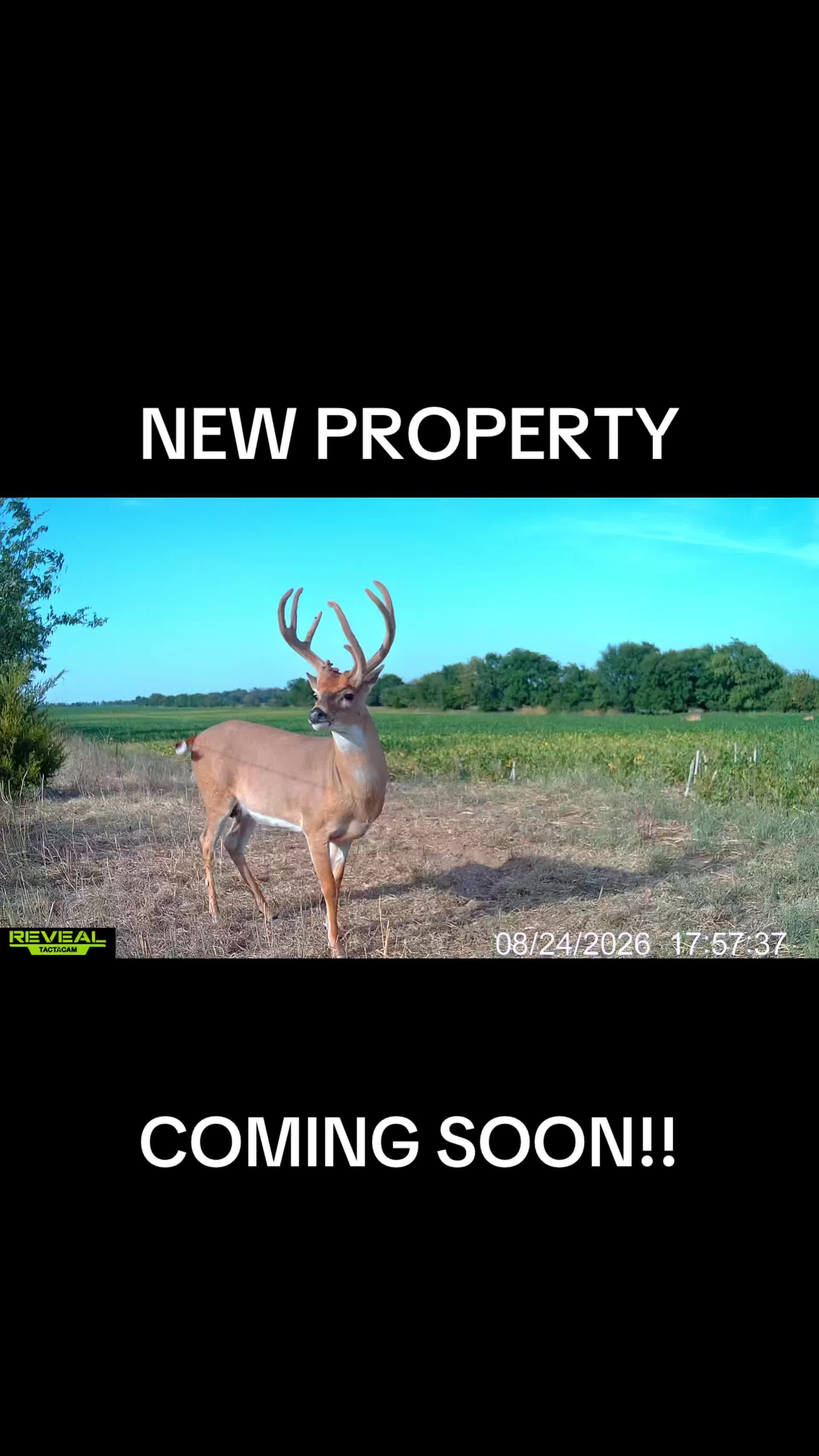 @Sundgren Realty & Auction